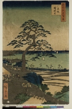 Meisho Edo hyakkei: La Colline à Huit Vues et le grand Pin-à-l'armure-qui-pend (Yoroikakematsu)
