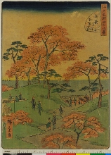 Edo meisho shijūhakkei (Quarante-huit vues célèbres d'Edo): N°37 - Feuilles d'érable rouges près du temple Kaianji