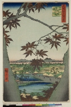 Meisho Edo hyakkei (Cent vues d'endroits célèbres d'Edo): Les érables de Mama et le sanctuaire et pont de Tekona