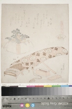 Genroku kasen kai awase (Sélection des trente-six coquillages de l'ère Genroku pour une compétition poétique): Le coquillage akoya (akoyagai)