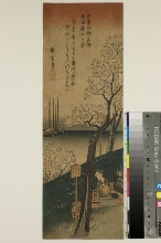 Shiki kōto meisho (Vues célèbres d'Edo à travers les quatre saisons): Printemps - Fluers sur la colline de Goten
