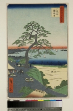Meisho Edo hyakkei (Cent vues d'endroits célèbres d'Edo): La Colline à Huit Vues et le grand Pin-à-l'armure-qui-pend (Yoroikakematsu)