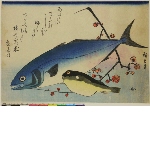 Large fishes, 2nd series (supplemental group): Inada and fugu, with plum blossoms
