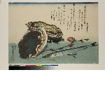 Large fishes, 1st series: Awabi and sayori