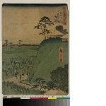 Edo meisho shijūhakkei (Forty-eight famous views of Edo): N°16 - Irises at Horikiri