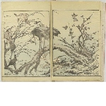 Hokusai gafu 北斎画譜 (part 2/3)