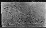 Bas-relief du palais d'Assurbanipal : Lionne agonisant
