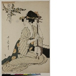 Edo no hana musume jōruri (Flowers of Edo: Jōruri ballads by young women): Woman cleaning shamisen under sprig of peach blossom