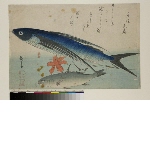 Large fishes, 2nd series (supplemental group): Tobiiro and ishimochi, with lily