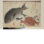 Large fishes, 1st series: Black bream and two red breams