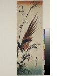 Untitled series of birds and flowers subjects: Gold pheasant and bamboo