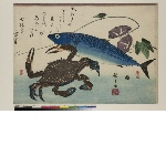Large fishes, 2nd series (supplemental group): Kani and saba, with morning glory