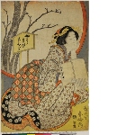 Beauty and cherry tree called Yang Guifei in the garden
