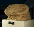 Fragment of a statue: head of a ram
