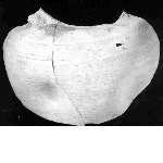 Fragment of earthenware